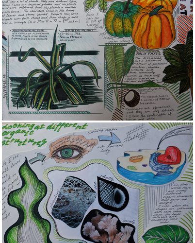 Organic Shapes