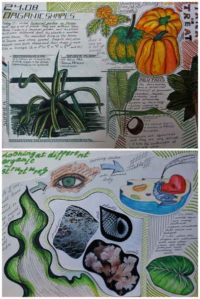 Organic Shapes